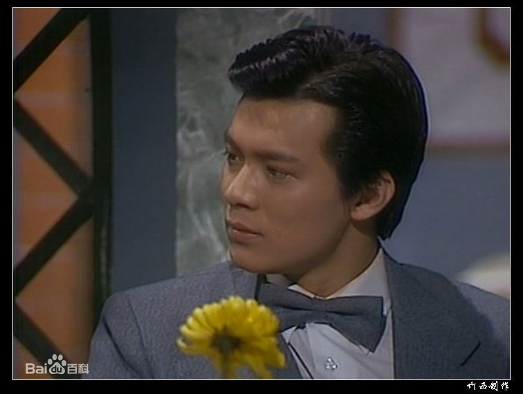 精选黄日华(Felix Wong Yat Wa)图片