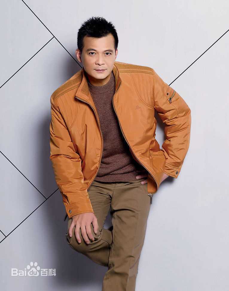 精选黄日华(Felix Wong Yat Wa)