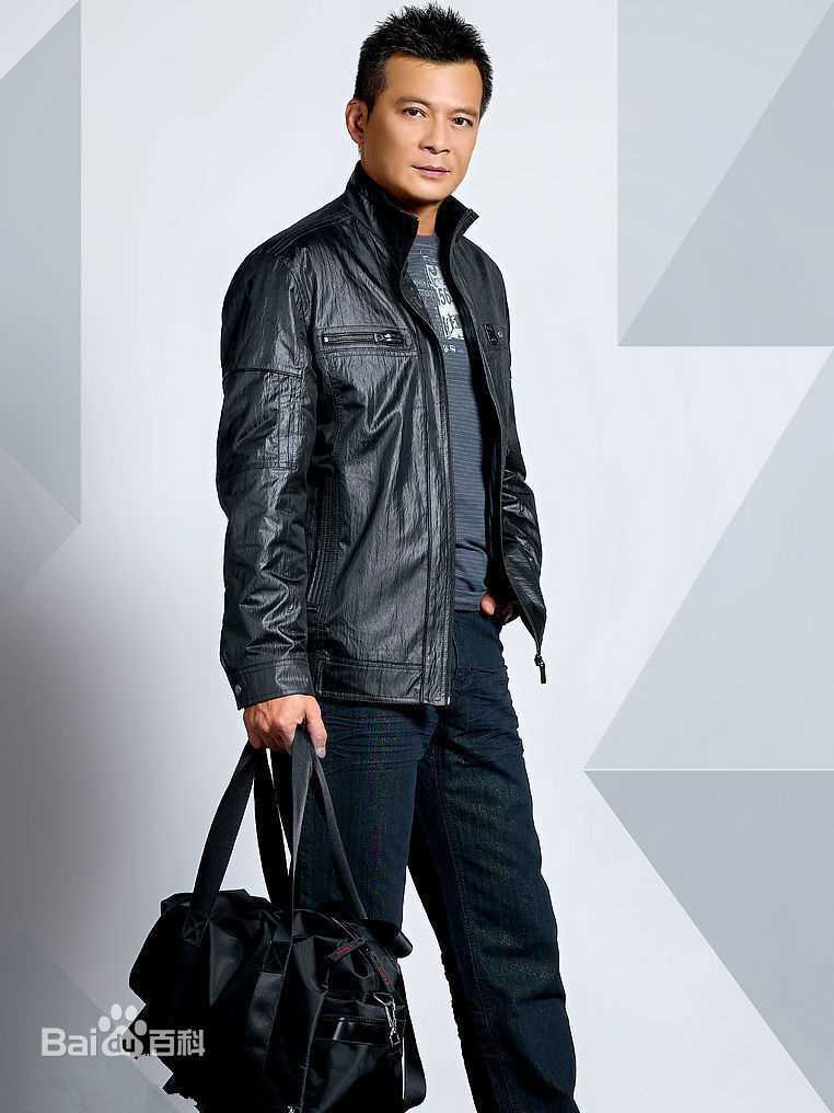 精选黄日华(Felix Wong Yat Wa)