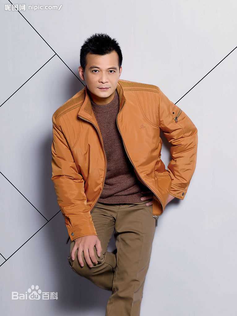 精选黄日华(Felix Wong Yat Wa)