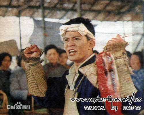 黄日华(Felix Wong Yat Wa)参演电影作品图片图集