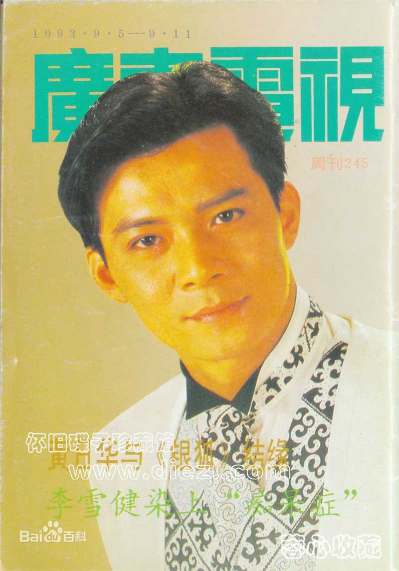 黄日华(Felix Wong Yat Wa)精选杂志封面照图册