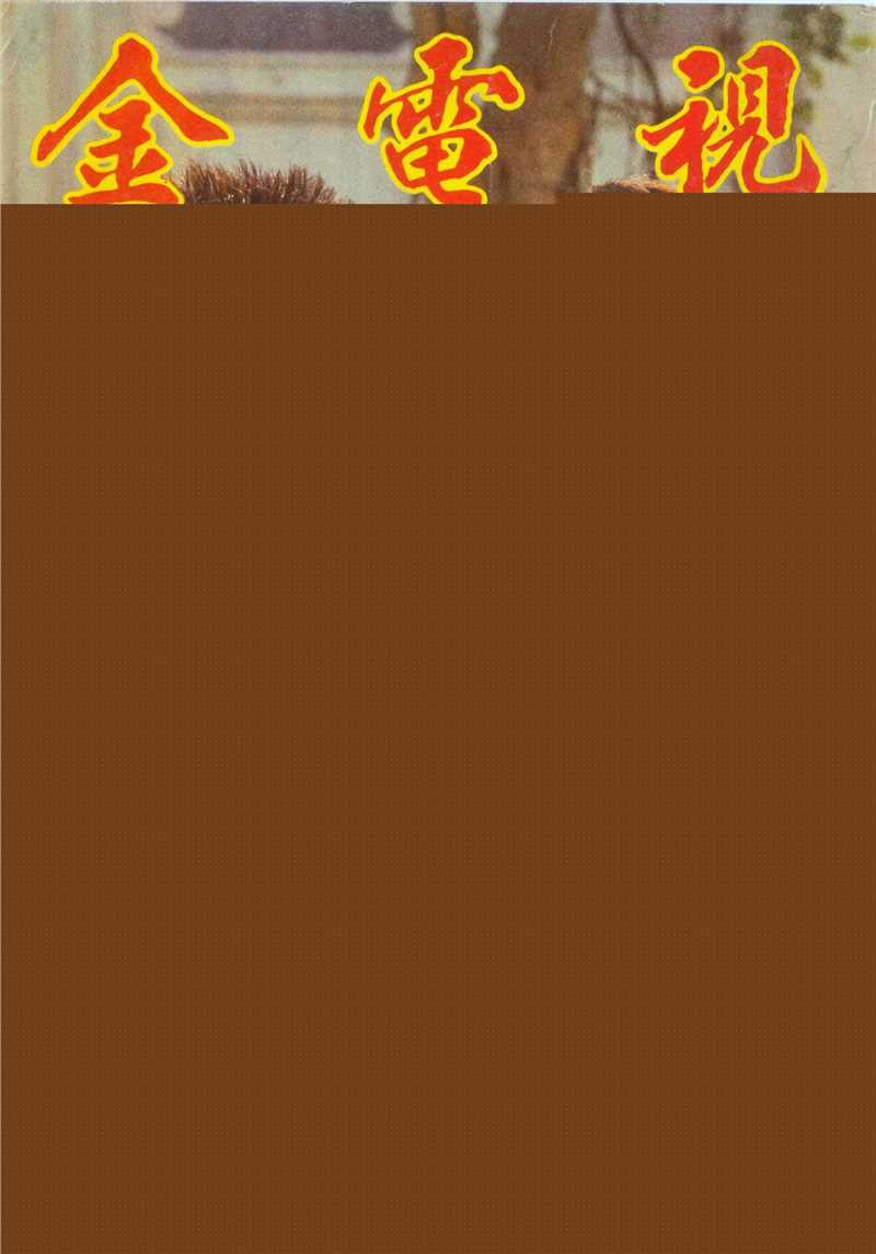 黄日华(Felix Wong Yat Wa)精选杂志封面照图册