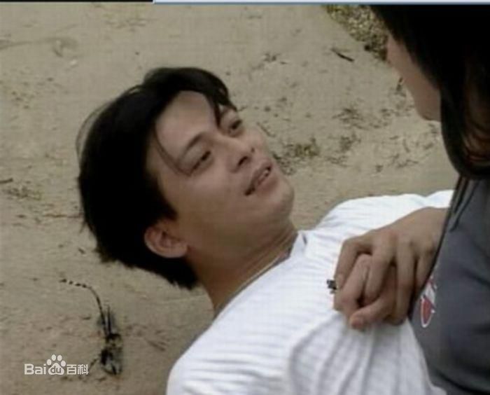 黄日华(Felix Wong Yat Wa)精彩图册