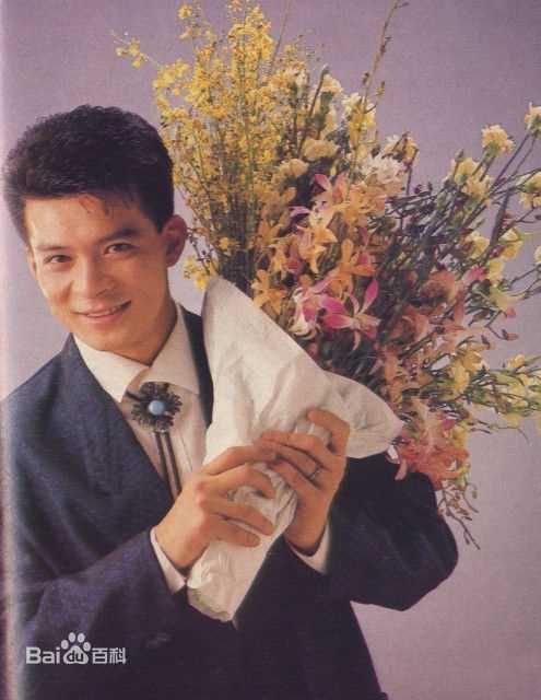 黄日华(Felix Wong Yat Wa)精彩图册