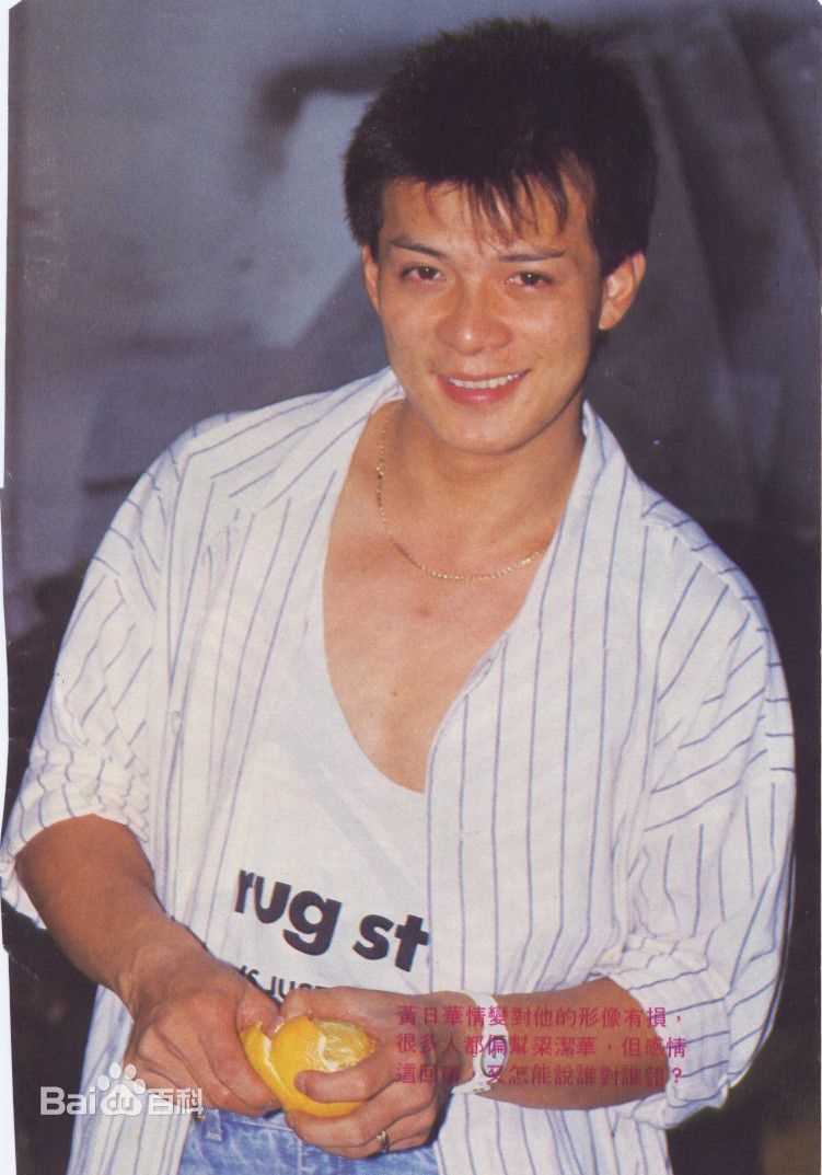 黄日华(Felix Wong Yat Wa)精彩图册