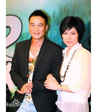 任达华(Simon Yam或Yam Tat-wah)与琦琦图册