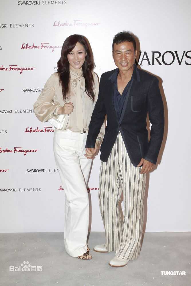 高清任达华(Simon Yam或Yam Tat-wah)精彩图册