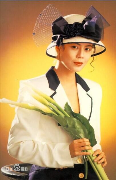 最全梁艺龄(原名梁佩玲)(Fiona Leung)壁纸