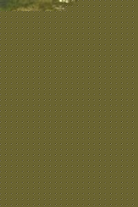 精选冯淬帆(Feng Cuifan、Fung Shui-Fan)