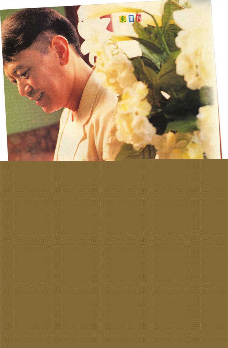 罗文(Roman,Tam)高清杂志图片图册