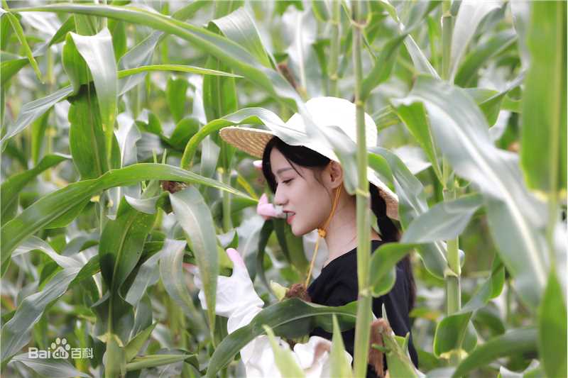 高清陈意涵(Estelle)在《完美的餐厅》中的图集