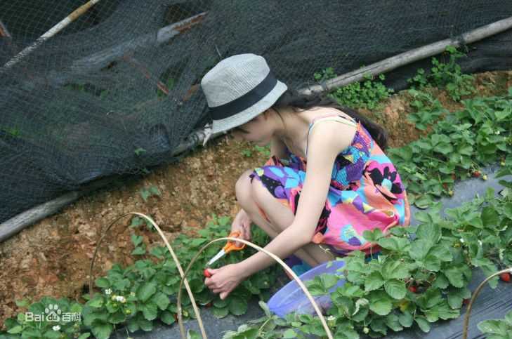 莫诗旎生活照图册