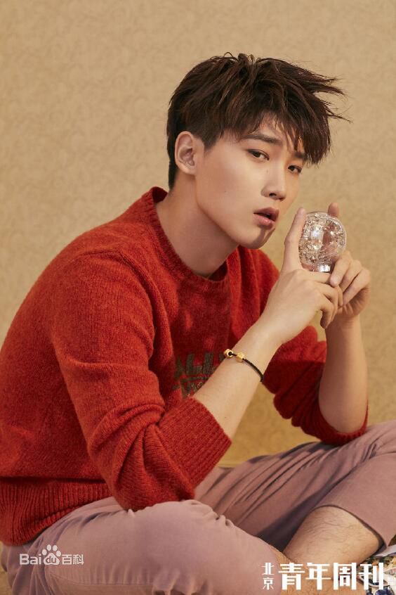 邢昭林北京青年周刊素颜照相册