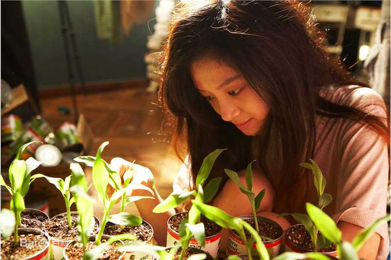 郑丽媛(,Jung Ryeo Won)《金氏漂流记》精选剧照