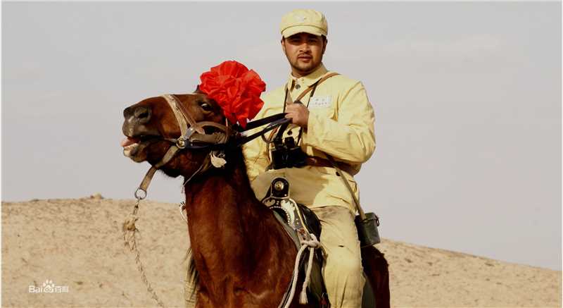 左金珠(JINZHU,ZUO)电视剧《雪欲昆仑》最优质剧照