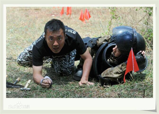 刘 涛(Liu tao)刘涛素颜照相册
