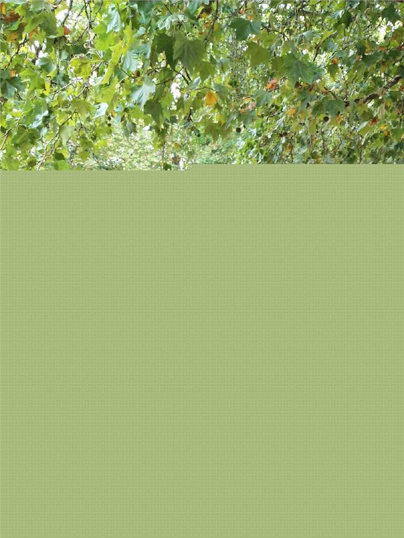 李百惠(Jennifer)生活照前后照片