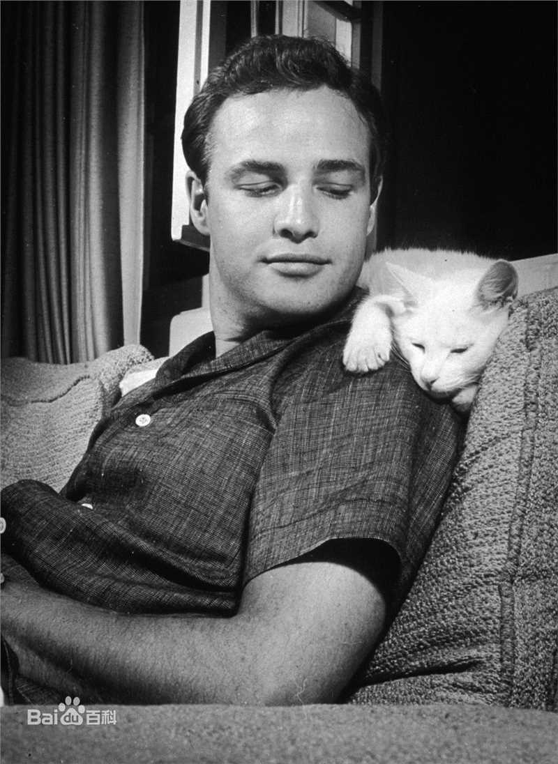 最新马龙·白兰度(Marlon Brando)精彩图册