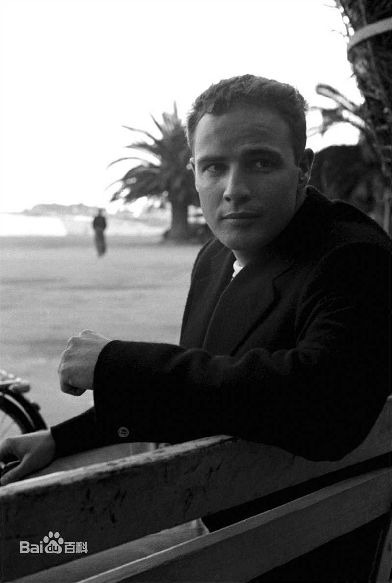 最新马龙·白兰度(Marlon Brando)精彩图册