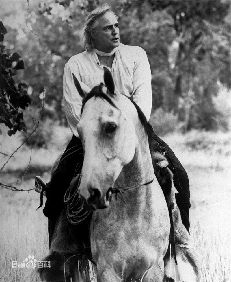 最新马龙·白兰度(Marlon Brando)精彩图册