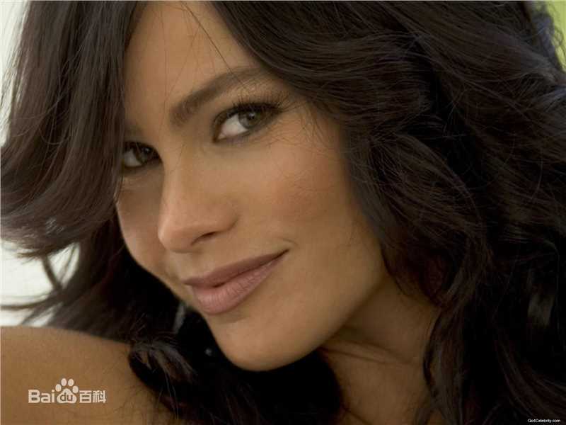 最全索菲娅·维加拉(Sofía Vergara)精彩图册