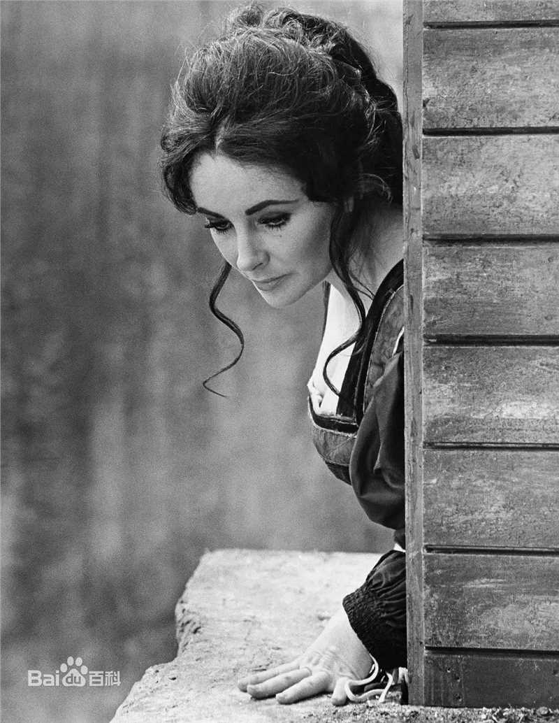 精选伊丽莎白·泰勒(Elizabeth Taylor)