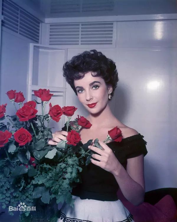 精选伊丽莎白·泰勒(Elizabeth Taylor)