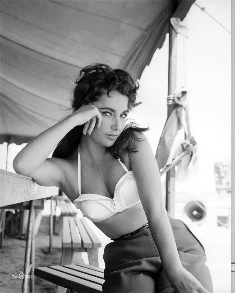 精选伊丽莎白·泰勒(Elizabeth Taylor)