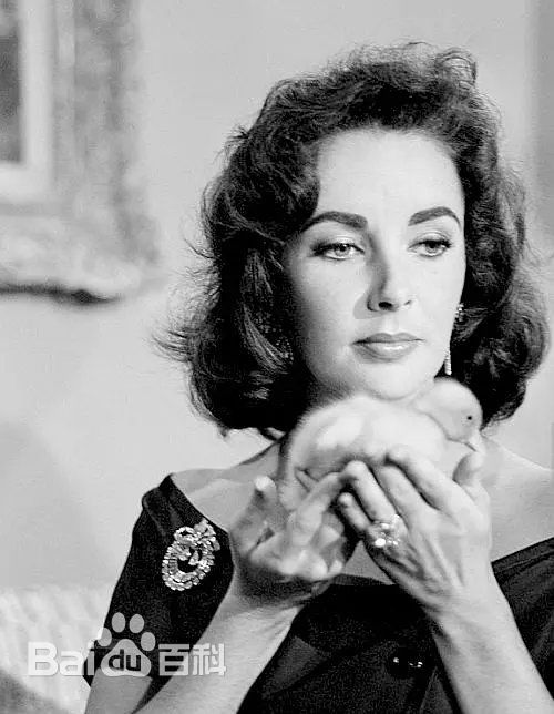 精选伊丽莎白·泰勒(Elizabeth Taylor)