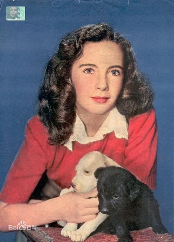 最全伊丽莎白·泰勒(Elizabeth Taylor)精彩图册