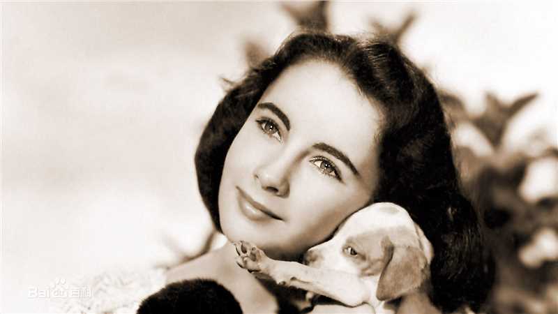 最新伊丽莎白·泰勒(Elizabeth Taylor)精彩图册