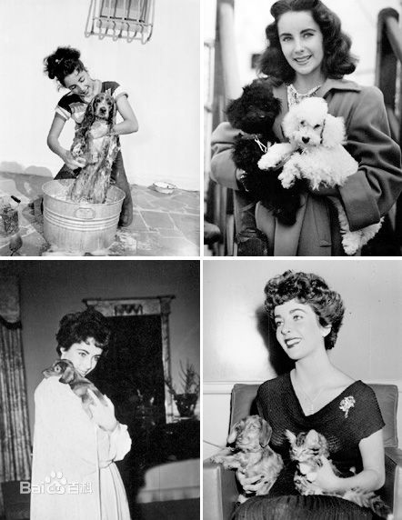 最新伊丽莎白·泰勒(Elizabeth Taylor)精彩图册