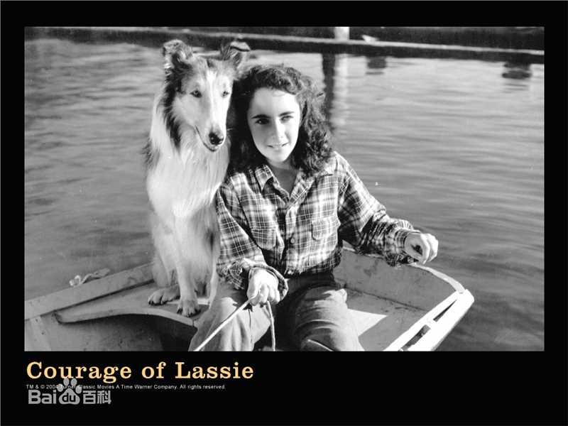 最新伊丽莎白·泰勒(Elizabeth Taylor)精彩图册