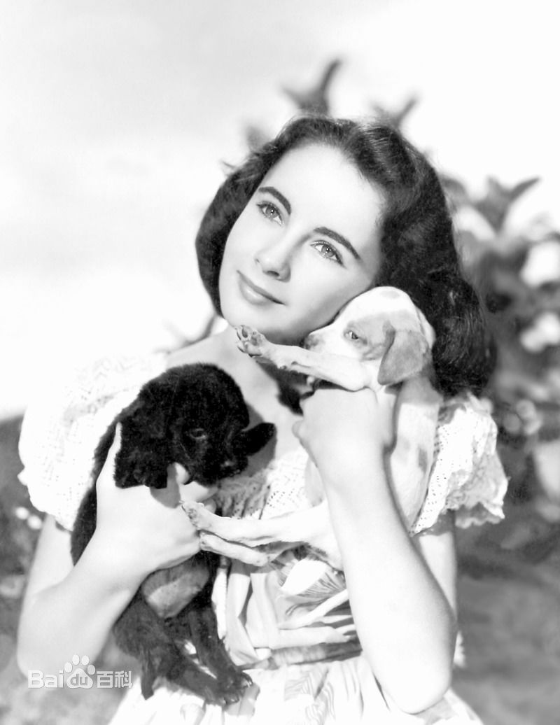 最优质伊丽莎白·泰勒(Elizabeth Taylor)素颜照
