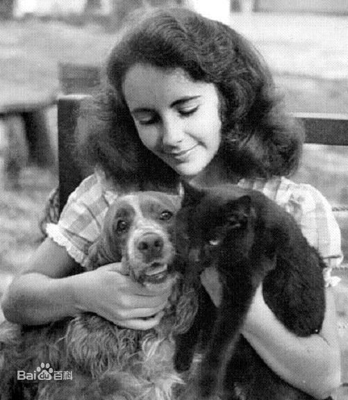 最优质伊丽莎白·泰勒(Elizabeth Taylor)素颜照