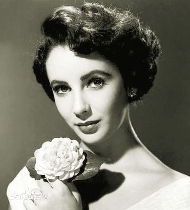 最优质伊丽莎白·泰勒(Elizabeth Taylor)精彩图册2
