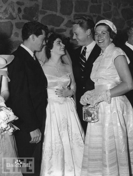 最优质伊丽莎白·泰勒(Elizabeth Taylor)精彩图册