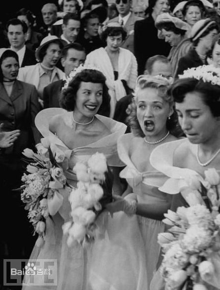 最优质伊丽莎白·泰勒(Elizabeth Taylor)精彩图册