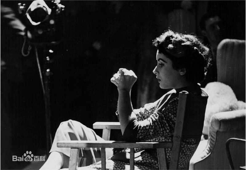 最全伊丽莎白·泰勒(Elizabeth Taylor)精彩图册1