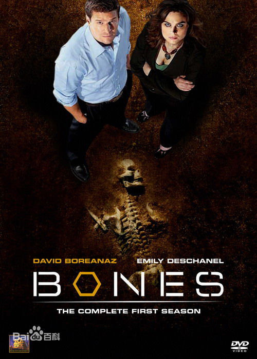 最新杰米·亚历山大(Jaimie Alexander)壁纸