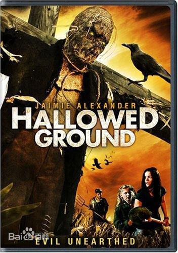 最新杰米·亚历山大(Jaimie Alexander)壁纸