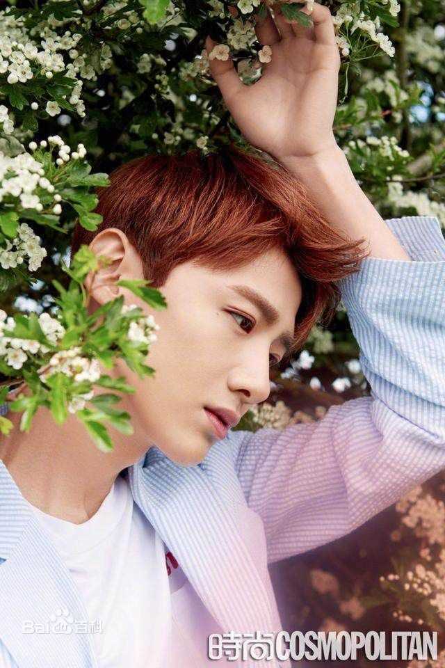 最全白敬亭素颜照