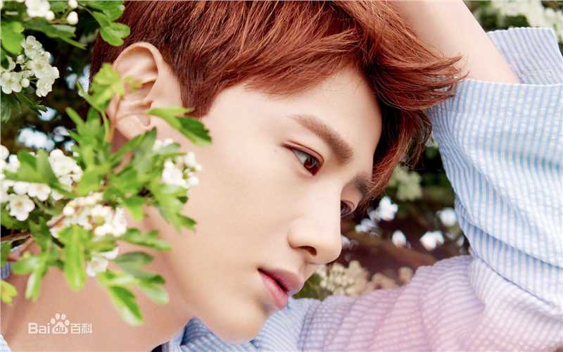 最全白敬亭素颜照