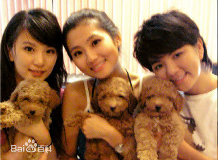 高清任家萱(Selina)性感图片