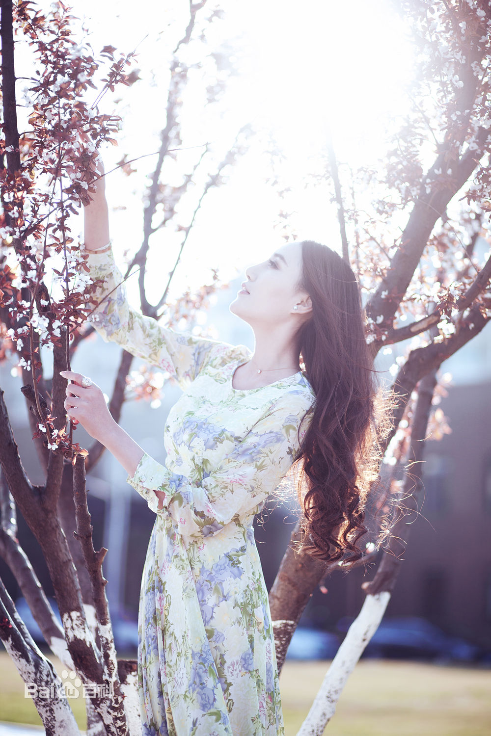 吴晴(Kate)精选【美空杂志】图册