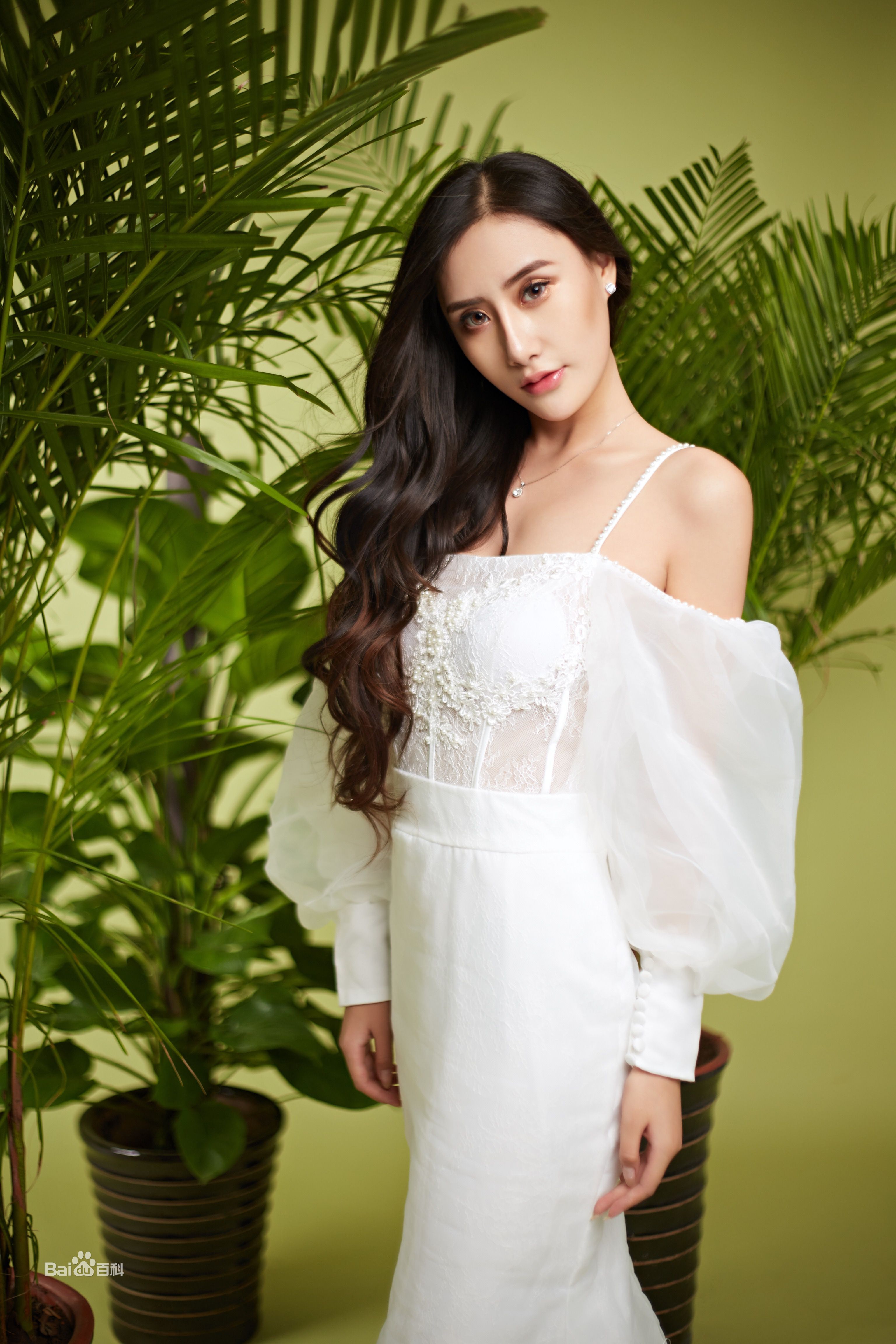 吴晴(Kate)【绿色大自然系列】壁纸壁纸