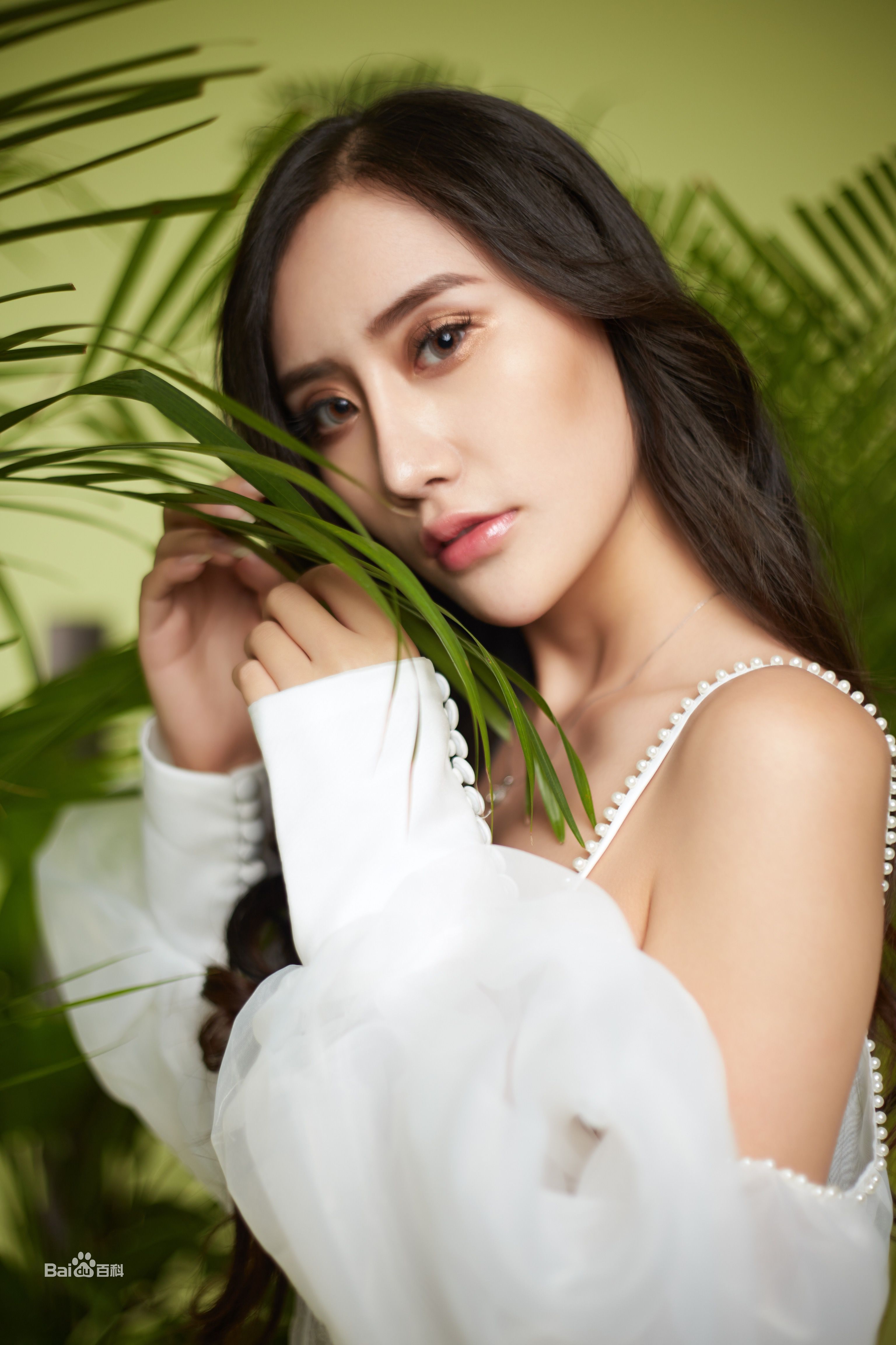 吴晴(Kate)【绿色大自然系列】壁纸壁纸