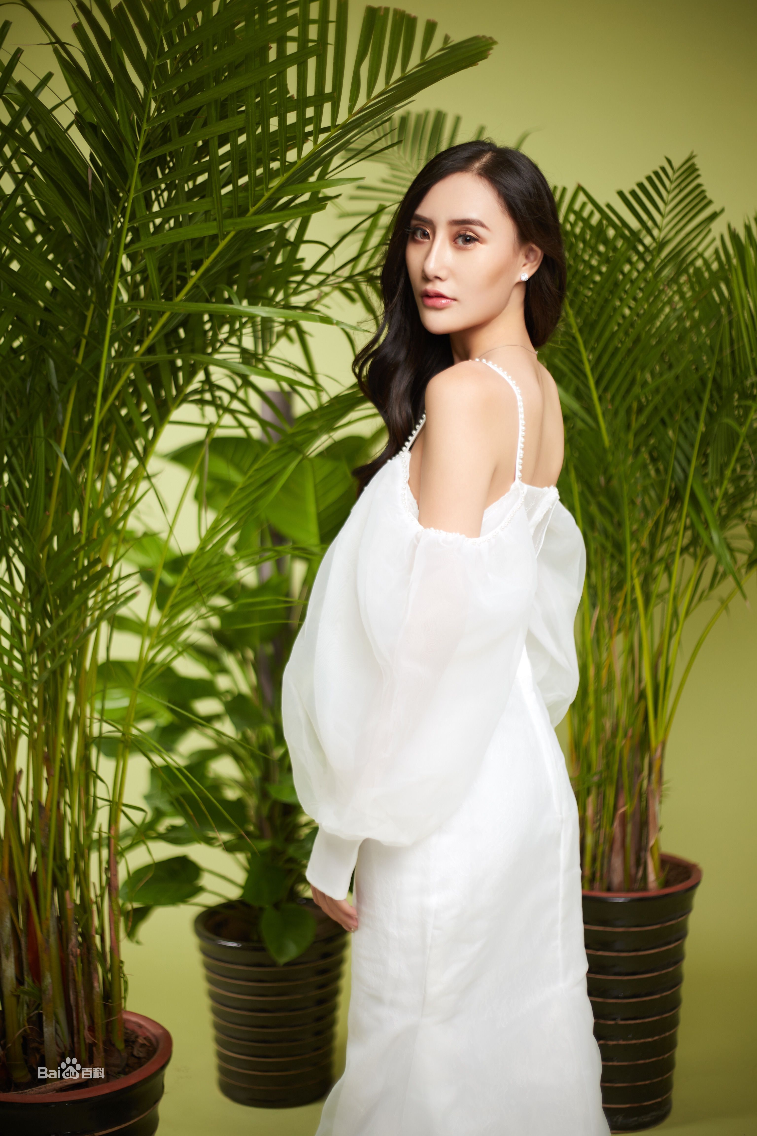 吴晴(Kate)【绿色大自然系列】壁纸壁纸