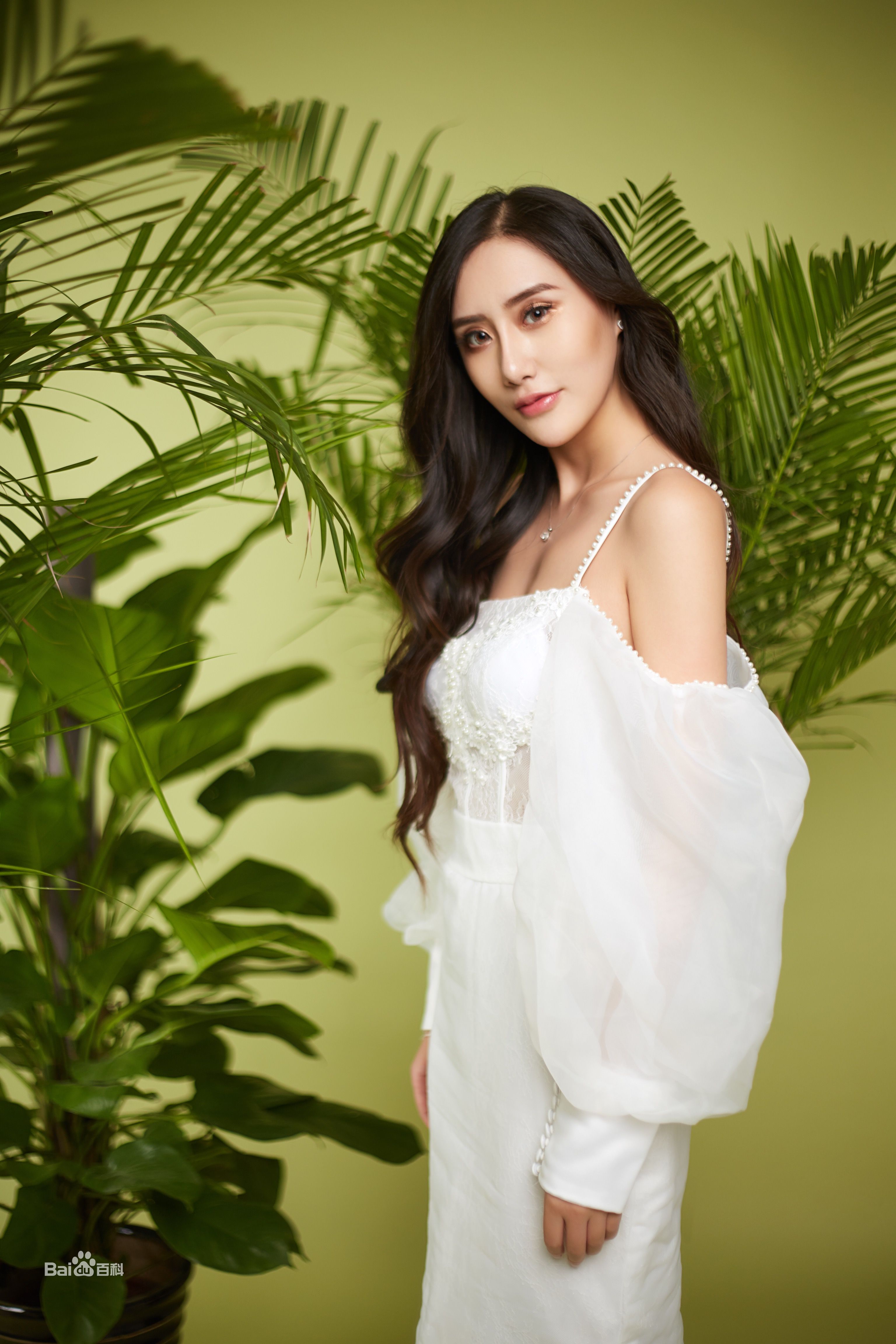 吴晴(Kate)【绿色大自然系列】壁纸壁纸